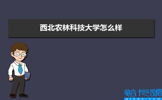 西北农林科技大学怎么样好不好，附排名简介校友评价，10条(附2022年最新排行榜前十名单)