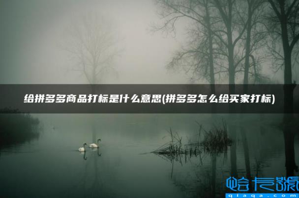 拼多多怎么给买家打标，给拼多多商品打标是什么意思(附2022年最新排行榜前十名单)