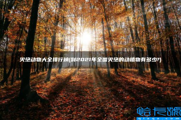 到2022年全国灭绝的动植物有多少?，灭绝动物大全排行榜(附2022年最新排行榜前十名单)