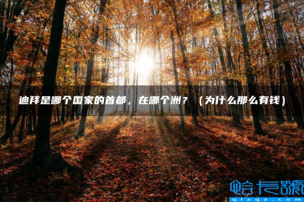 迪拜是哪个国家的首都，在哪个洲？，为什么那么有钱(附2022年最新排行榜前十名单)