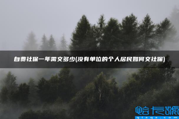 自费社保一年需交多少，没有单位的个人居民如何交社保(附2022年最新排名前十榜单)