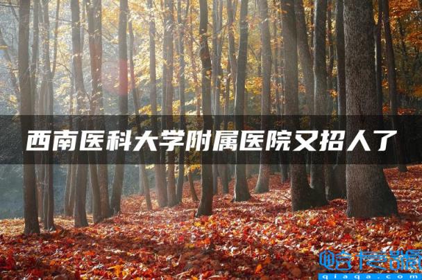 西南医科大学附属医院又招人了(附2022年最新排行榜前十名单)