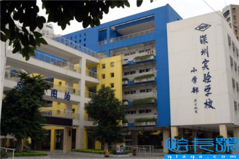 深圳市公立小学排名榜，深圳市翠竹小学上榜第二代表学校(附2022年最新排行榜前十名单)