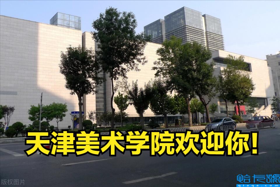 2022年天津美术学院录取分数线是多少(附2022年最新排行榜前十名单)