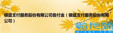 银盛支付服务股份有限公司备付金0.01元，银盛支付服务股份有限公司备付金(附2022年最新排行榜前十名单)