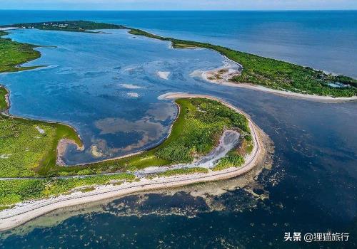 东沙岛风光,中间就是潟湖除了椰子树,东沙岛上的灌木丛也很茂盛,主要