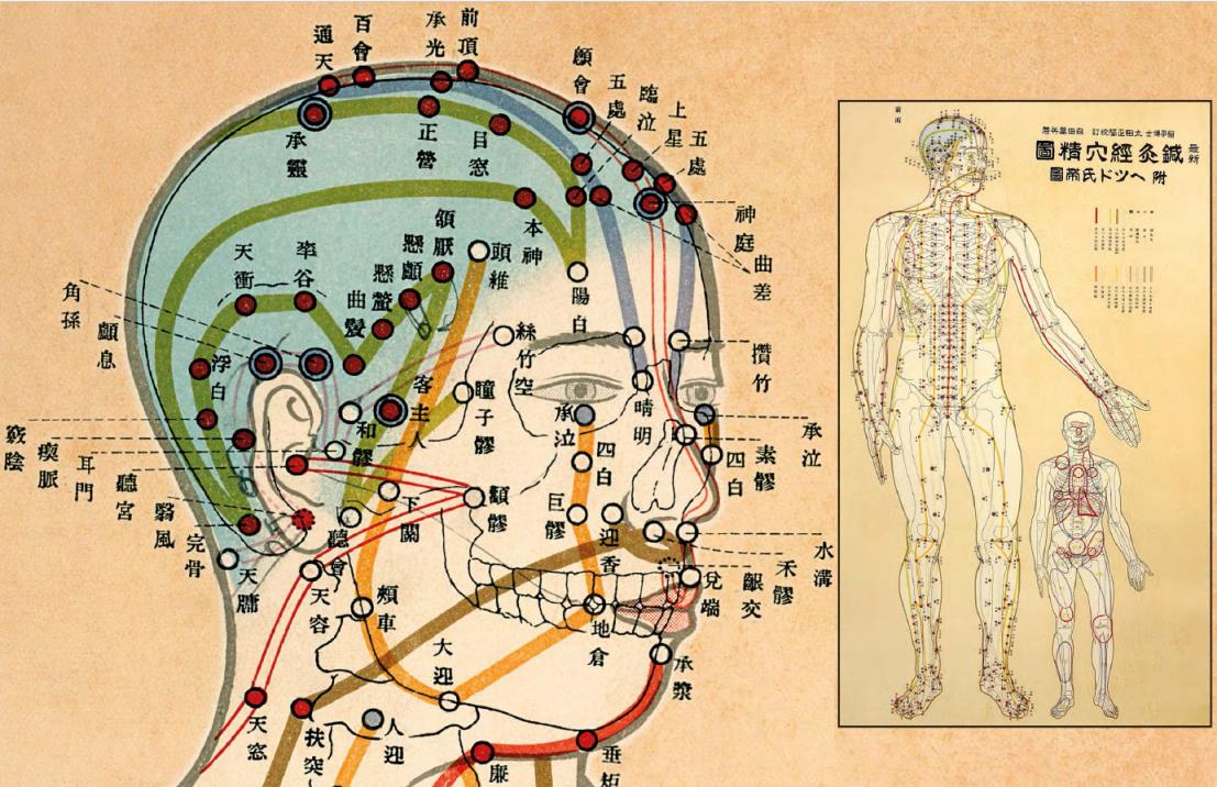 4,日本标记的穴位图1,在中医学说里,穴位是人体经络的具体部位,功能