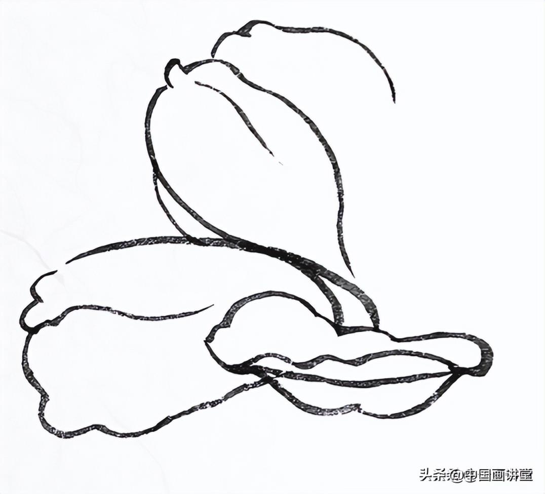 画桃花简笔画图片大全(小学生桃花的简单画法图文教程)